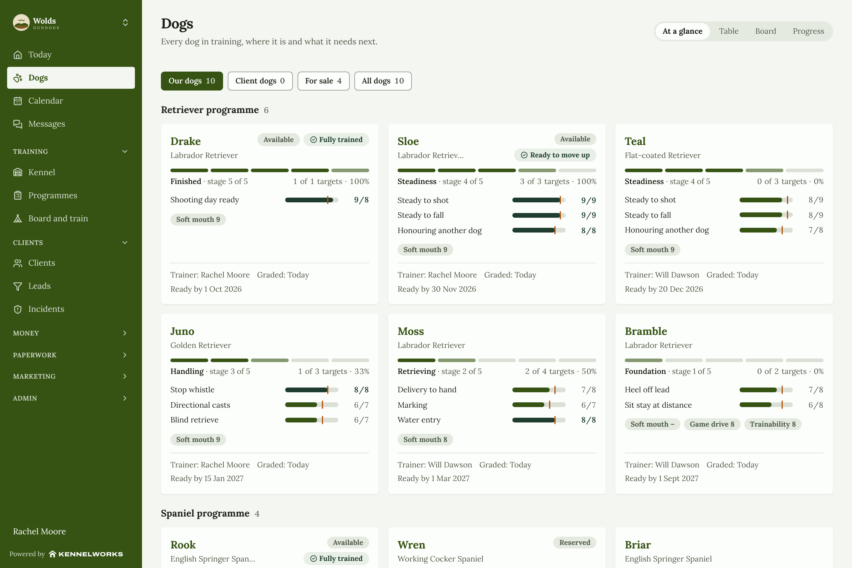 Kennelworks Dogs page branded for Wolds Gundogs: retrievers and spaniels at each stage from foundation to shooting day ready, with steadiness and handling scores