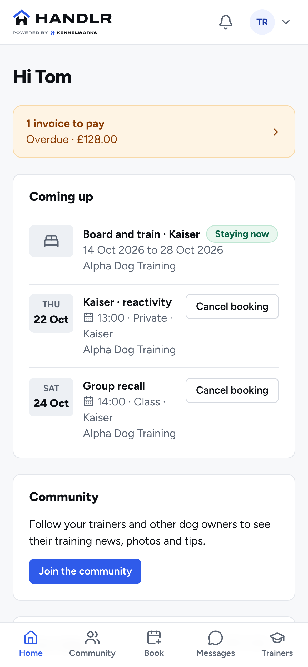 Handlr home for Tom, an owner: an invoice to pay, Kaiser’s board and train stay at Alpha Dog Training and his upcoming sessions